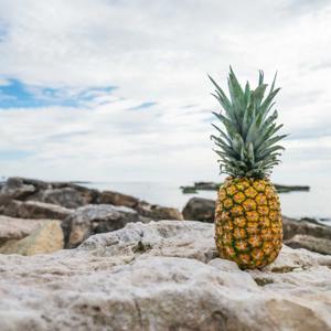 Pineapple Sisters