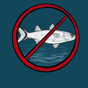 The No Wet Fish Podcast