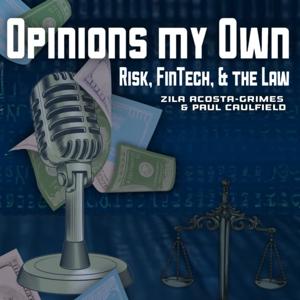 Opinions My Own: Risk, FinTech and the Law