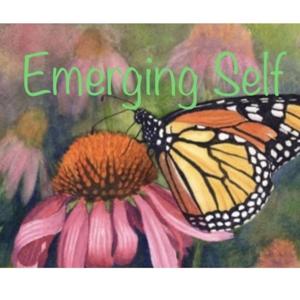 SystemSpeak2: Emerging Self