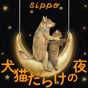 犬猫だらけの夜 -sippo channel-