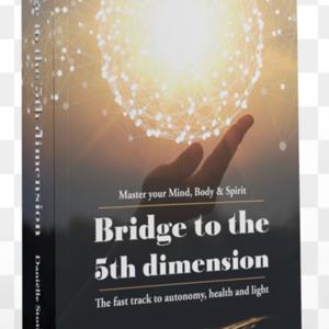 Sharing:Bridge to the 5th Dimension By Danielle Stotijn