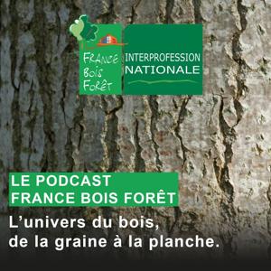 France Bois Forêt, l'univers du bois, de la graine à la planche