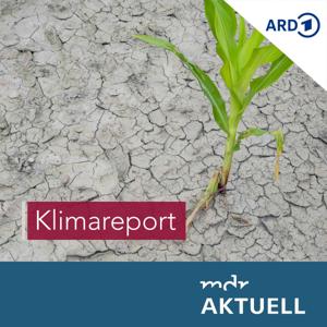 Klimareport von MDR AKTUELL