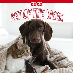 KDKD Pet Of The Week