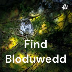 Find Bloduwedd