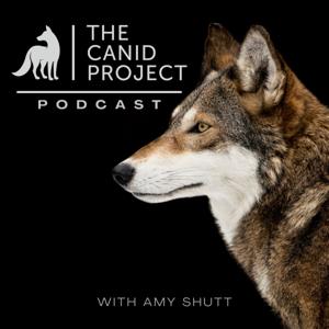 The Canid Project