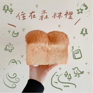 住在森林裡/森に住む