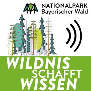 Wildnis schafft Wissen – Einblicke in den Nationalpark Bayerischer Wald by Christian Keim