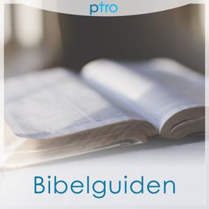 Bibelguiden fra pTro