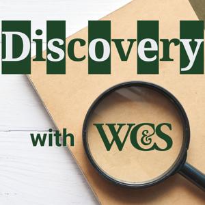 Discovery with WCS