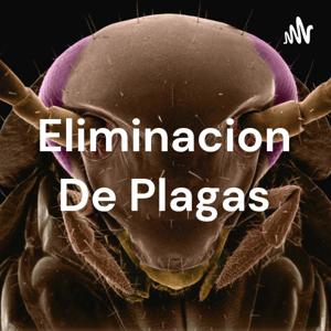 Eliminacion De Plagas