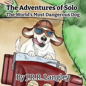 The Adventures of Solo