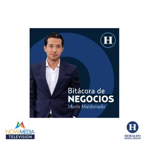 Bitacora de Negocios - Con Mario Maldonado