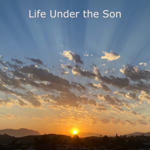 Life Under the Son