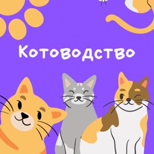 Котоводство