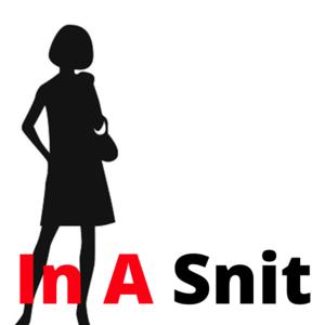 In A Snit: A Mad Men Retrospective by Frances and Marge