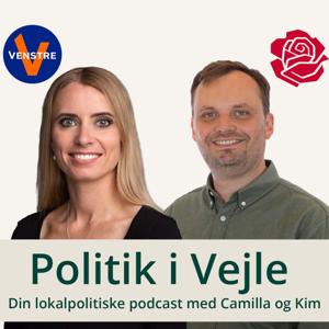 Politik i Vejle