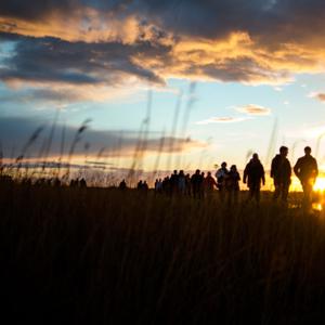 Norfolk Wonder Walk Packs