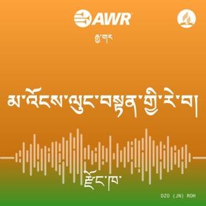 AWR in Dzongo - མ་འོངས་ལུང་བསྟན་གྱི་རེ་བ།