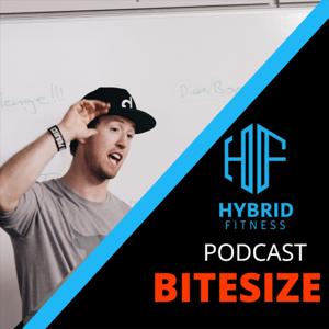 Hybrid Fitness Podcast Bitesize