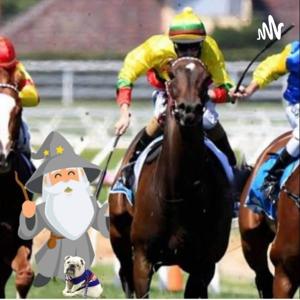 Western Wizards Sports and Racing Podcast