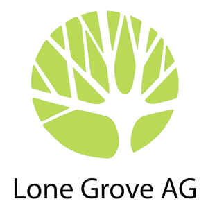 Lone Grove Assembly of God Services