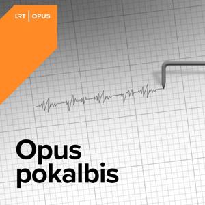 Opus pokalbis