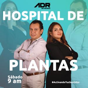 HOSPITAL DE PLANTAS