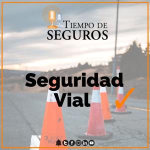 Tiempo de Seguros Seguridad Vial