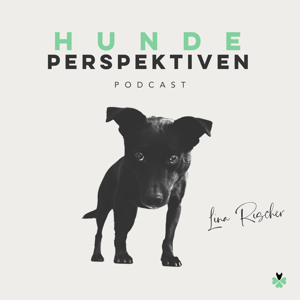 Hundeperspektiven