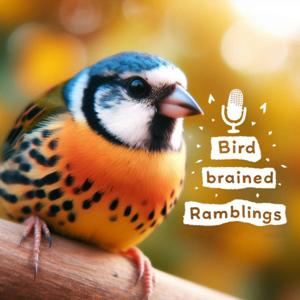 Bird Brained Ramblings