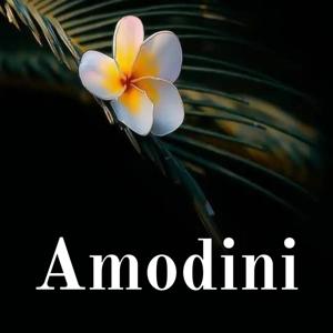 Amodini - Your way to Happiness - Motivational Podcast Eng/Hindi