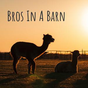 Bros In A Barn