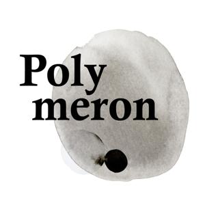 Polymeron