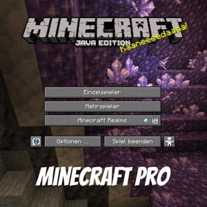 Minecraft Pro - Tipps und Tricks by MinecraftPro