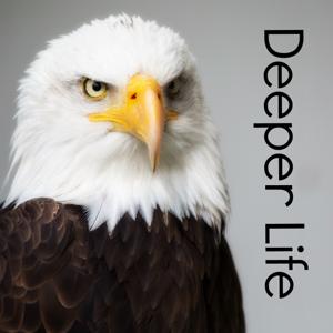Deeper Life