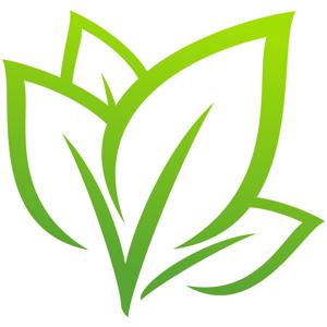 Life Church of the Nazarene