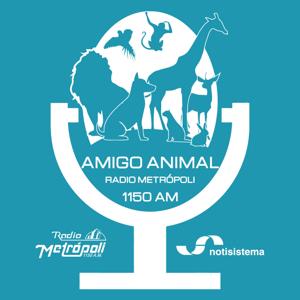 Amigo Animal - Notisistema by Notisistema