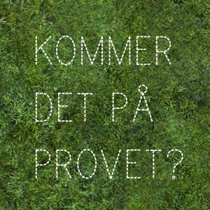 Kommer det på provet?