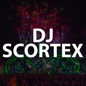 Scortex Radio