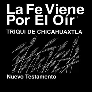 Triqui Chicahuaxtla Biblia (no dramatizada) - Triqui Chicahuaxtla Bible (Non-dramatized)