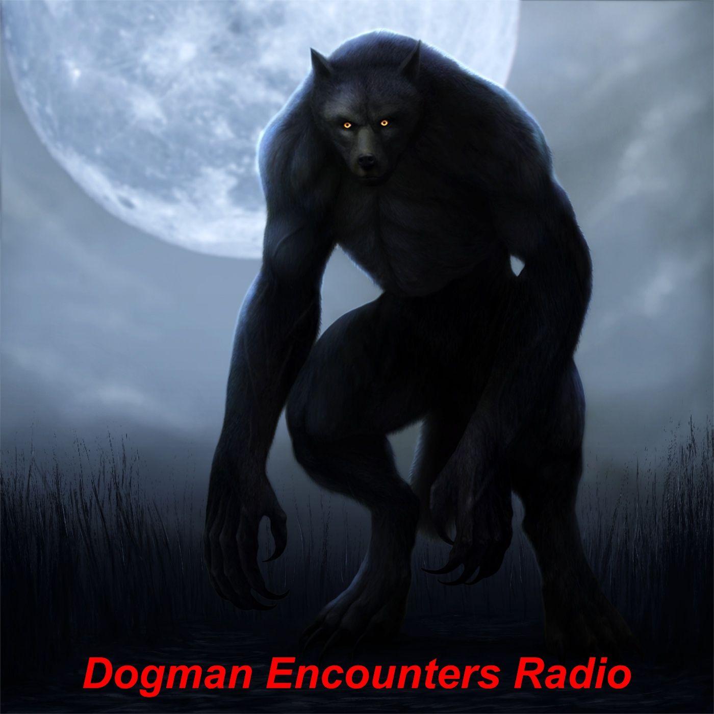 587: Bigfoot Outside My RV (Members) — The Confessionals