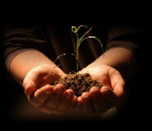 New Creation Ministries International