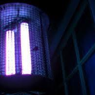 Bug Zapper Radio