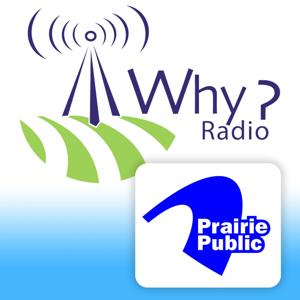 WHY? Philosophical Discussions About Everyday Life by Jack Russell Weinstein / Prairie Public