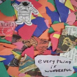 Everything is Wonderful