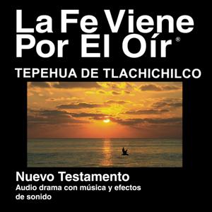 Tepehua Tlachichilco Biblia - Tepehua Tlachichilco Bible