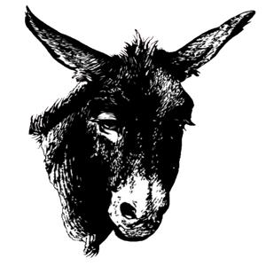 Donkey Meat Podcast