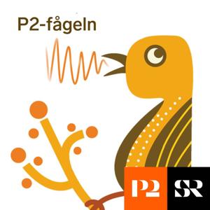 P2-fågeln